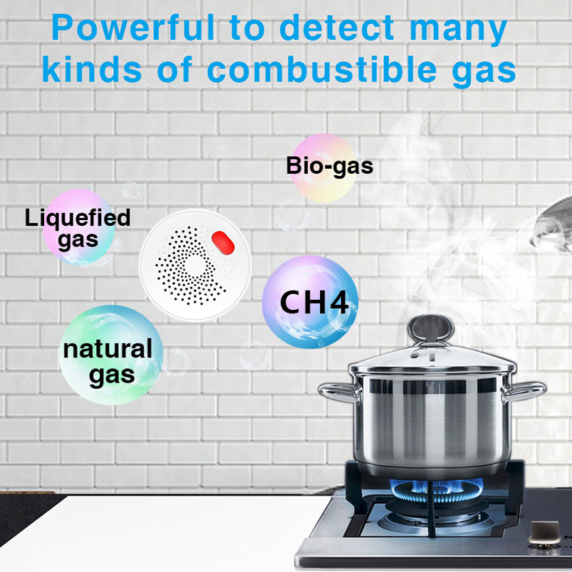 EU/US/UK Tuyaスマートホーム 2.4G Wifi - Home Security Gadgets のレビューと価格