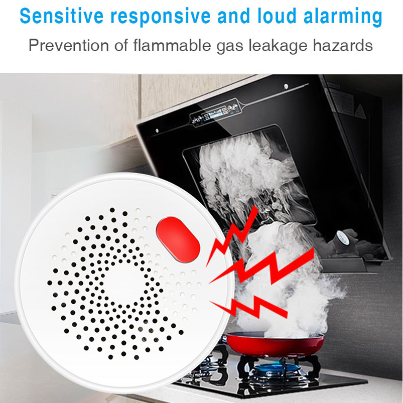 EU/US/UK Tuyaスマートホーム 2.4G Wifi - Home Security Gadgets のレビューと価格