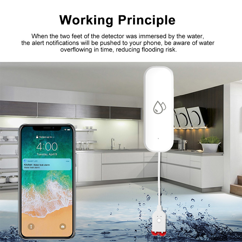 Tuya WiFi 水漏れ警報センサー スマートホーム 水漏 - Home Security Gadgets のレビューと価格